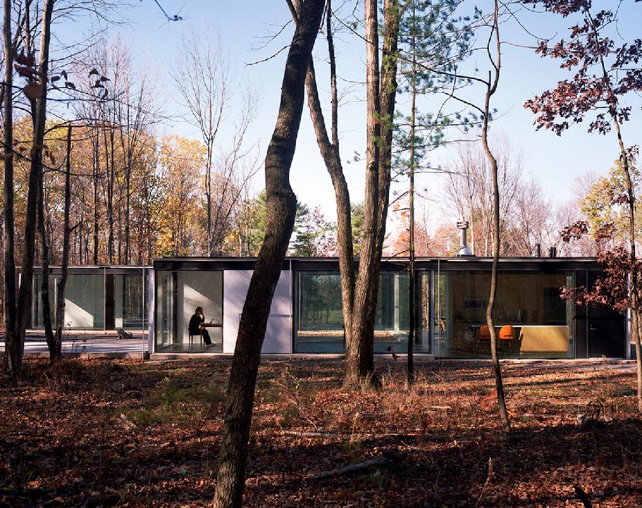 Michael Bell Mies van der Rohe Richard Press Philip Gefter Farnsworth House Film